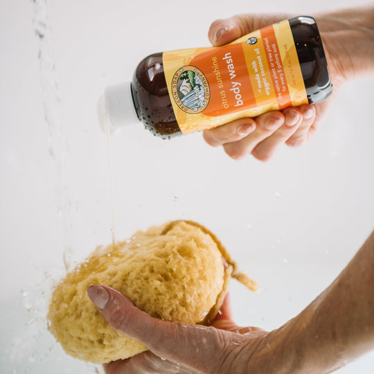 Citrus Sunshine Natural Organic Body Wash