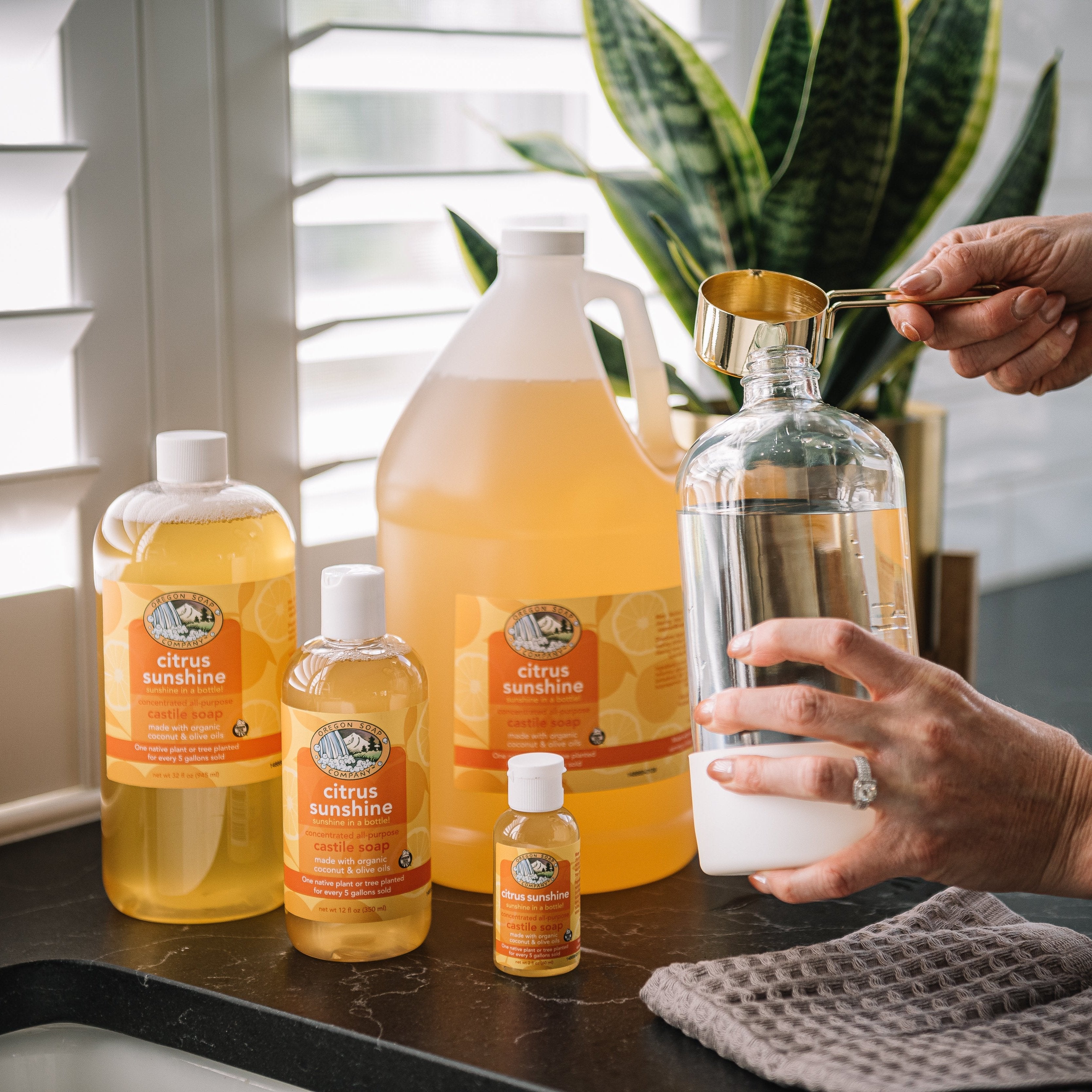 Citrus Sunshine - Organic Liquid Castile Soap – Oregon Soap Company